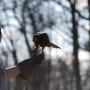 James Neumann Photo 46