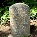 Darlene Davis Photo 11