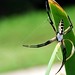 Steve Weaver Photo 10