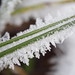 Crystal Rush Photo 17