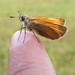 Milton Hunt Photo 13