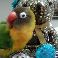 Kelly Pepe Photo 15