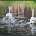 Geraldine Swan Photo 14
