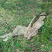 Vincent Conte Photo 19