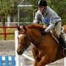 David Mclellan Photo 12