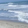 Christine Stephens Photo 39