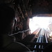 Josh Calvert Photo 17