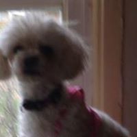 Carol Hunt Photo 4
