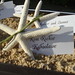 Michelle Richey Photo 15
