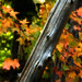 Sandy Weathers Photo 9