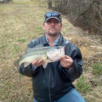 Richard Musgrove Photo 11