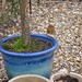 Robbie Plant Photo 9