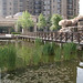 Wan Cheng Photo 10