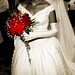 Diana Carpenter Photo 17