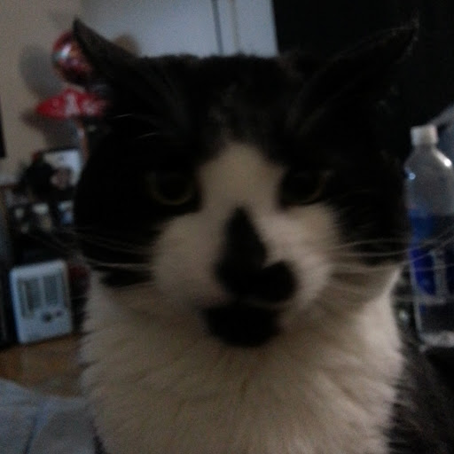 Molly Conley Photo 27 Molly Conley Photo 27