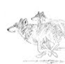 Susan Spina Photo 16