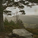 Don Forrest Photo 23