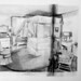 Rene Barnett Photo 16