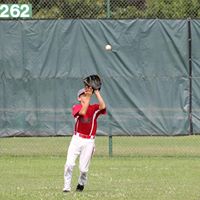 Gregory Mills Photo 40