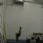 Ryan Stover Photo 15