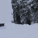 Cynthia Bird Photo 27