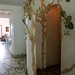 Debra Doyle Photo 32