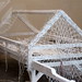 Patti Miller Photo 31