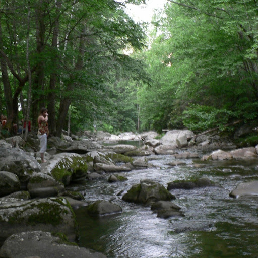 Karen Coburn Photo 32