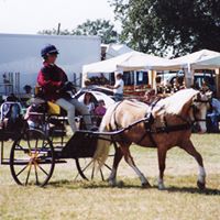 Helen Stratton Photo 21