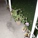 Kevin Plant Photo 14