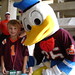 Donald Lane Photo 34