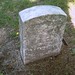 John Shank Photo 18