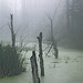 Misty Duvall Photo 15
