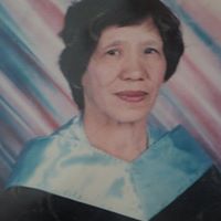 Teresa Pacheco Photo 17