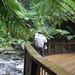 Allan Ruby Photo 6
