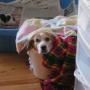 Debra Parent Photo 19