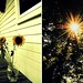 Sun Song Photo 36