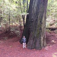 Tom Kinney Photo 32