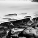 Edward Stack Photo 14