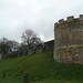 Robin Tower Photo 8