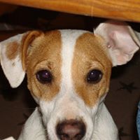 Maggie Conner Photo 5