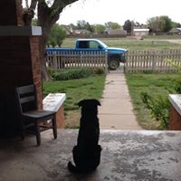 Bobbi Petersen Photo 8