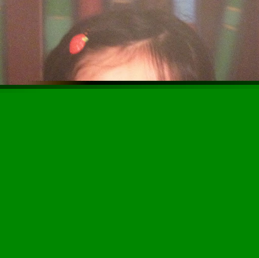 Sophie Gao Photo 14