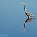 Herb Larson Photo 10