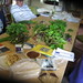 Lonnie Green Photo 16