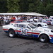 Robin Hamilton Photo 17