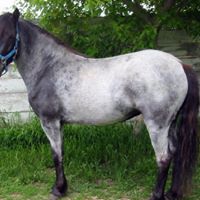 Travis Darby Photo 20