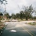 Lisa Burke Photo 15