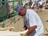 Mark Mcdaniel Photo 21