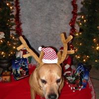 Sherry Riddle Photo 18